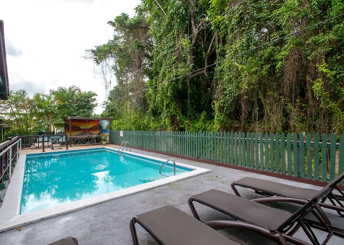 Hotel Pineapple Court 2*