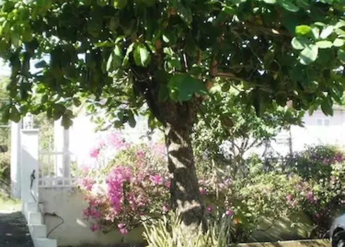 Pineapple Court Ocho Rios
